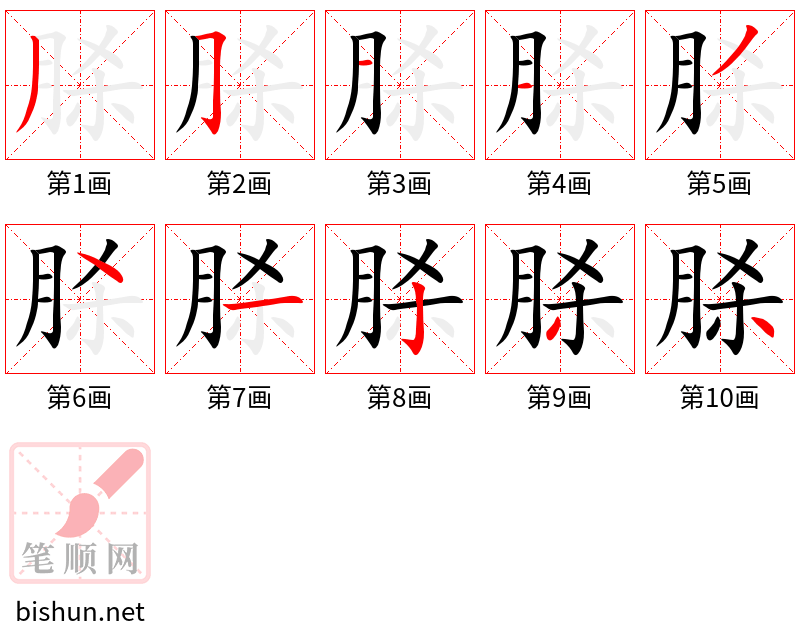 脎 笔顺规范