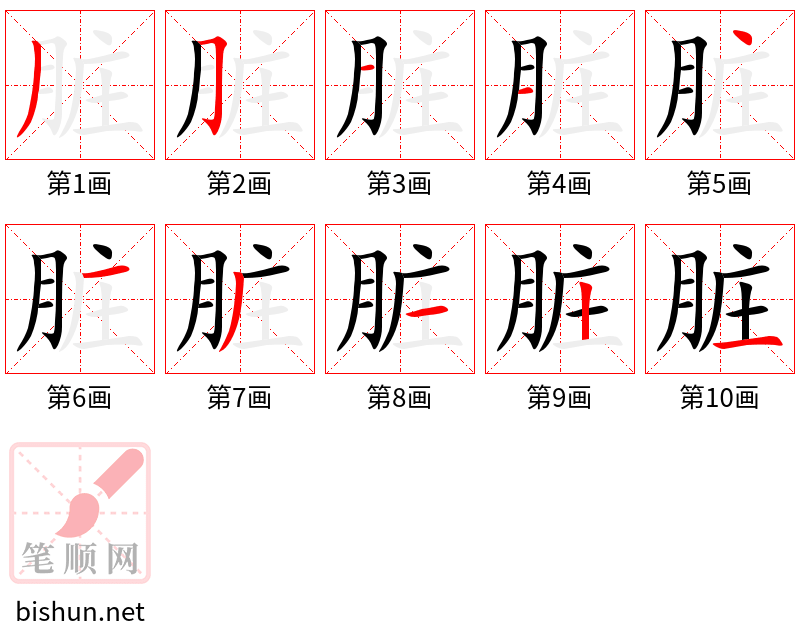 脏 笔顺规范