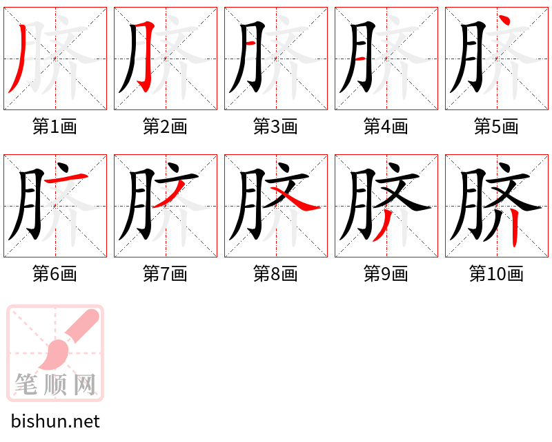 脐 笔顺规范