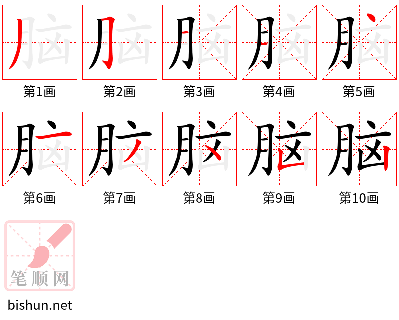 脑 笔顺规范