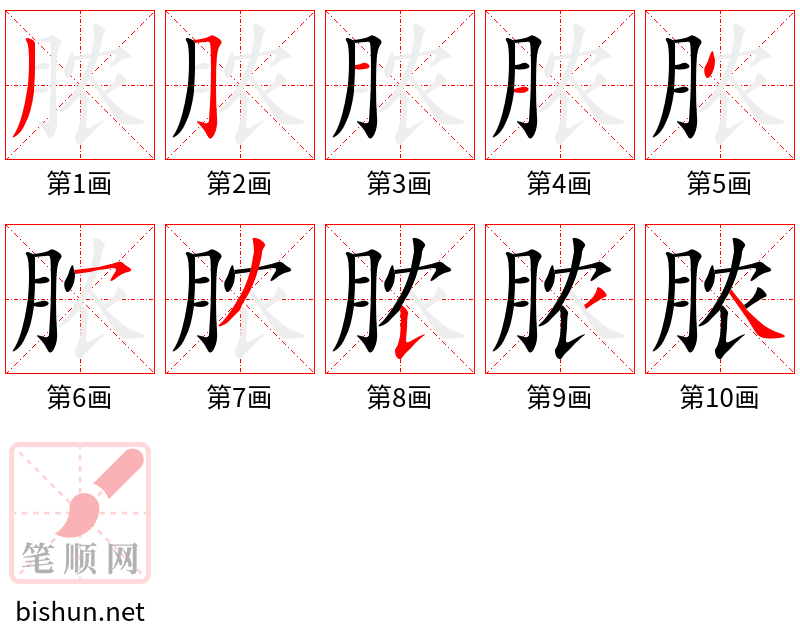 脓 笔顺规范