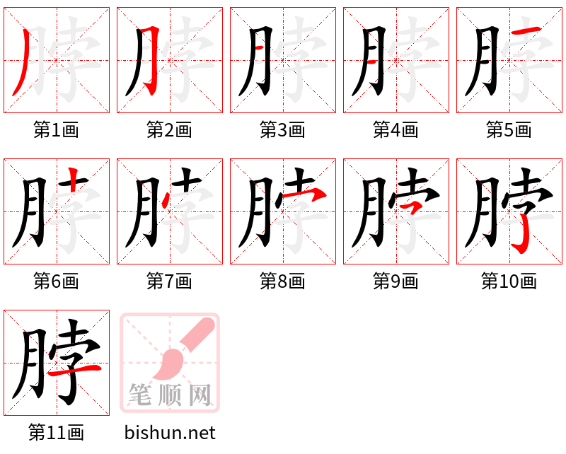 脖 笔顺规范