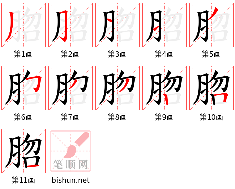 脗 笔顺规范