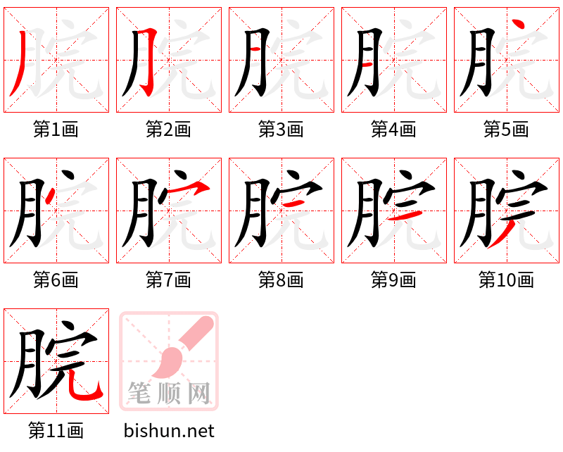 脘 笔顺规范