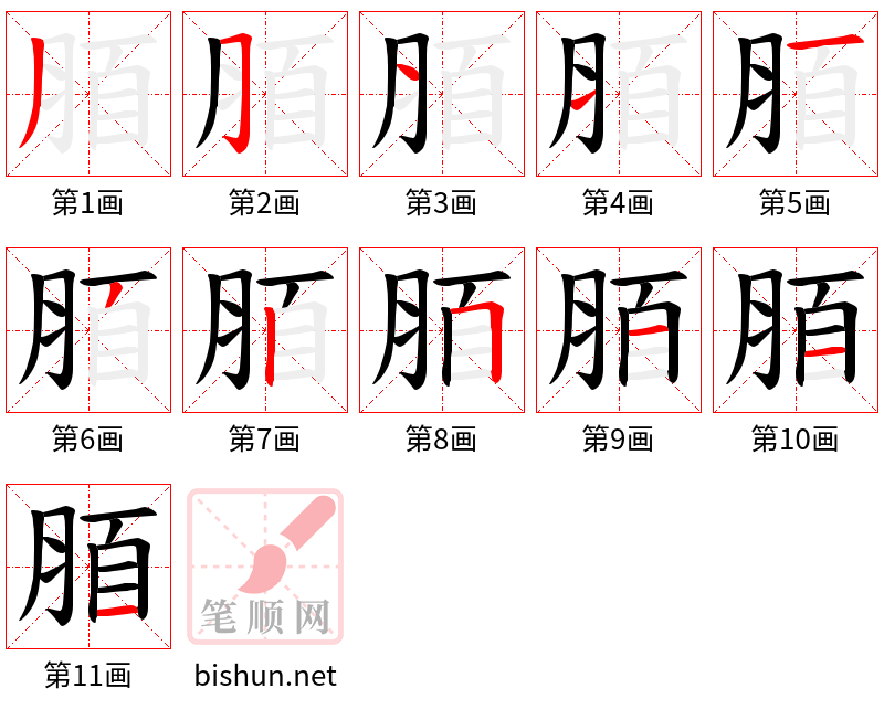 脜 笔顺规范