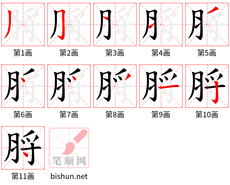 脟 笔顺规范