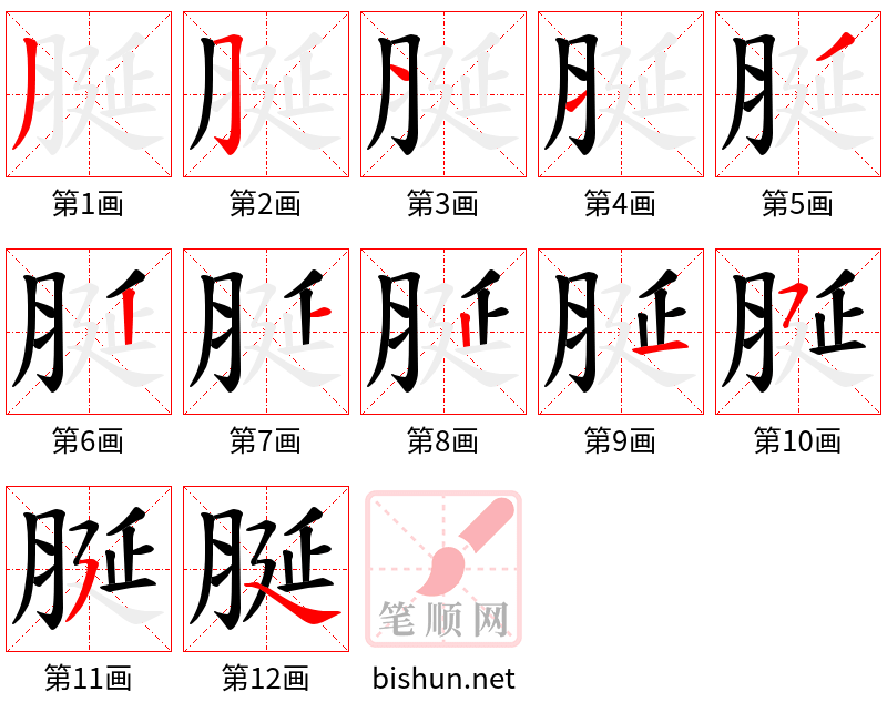 脠 笔顺规范