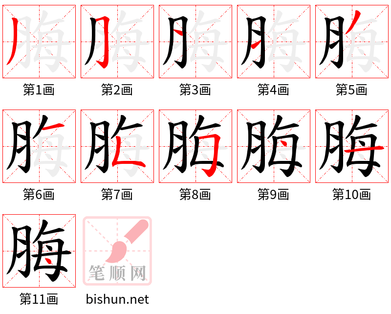 脢 笔顺规范