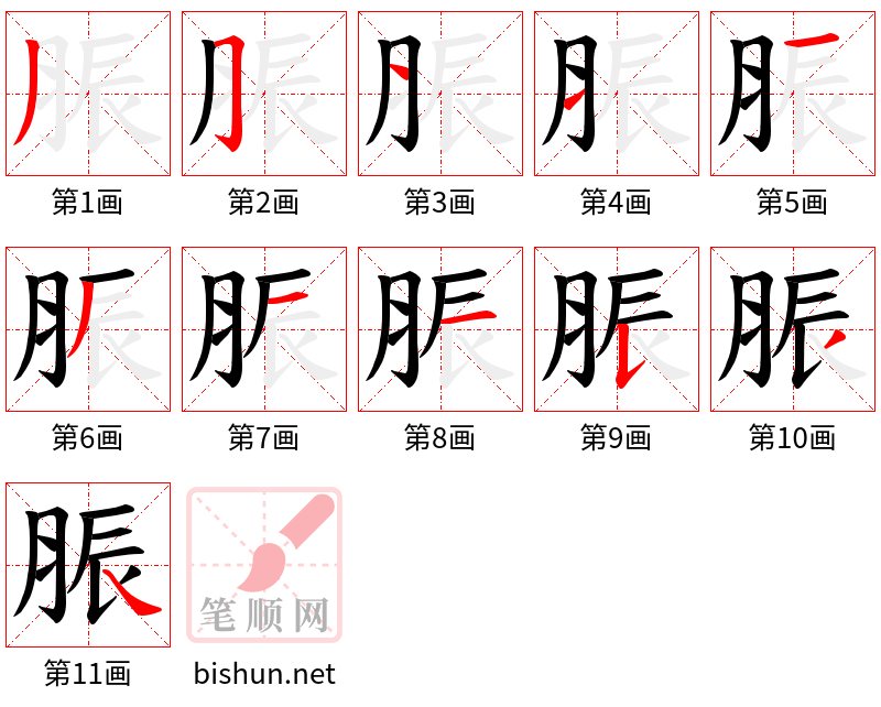 脤 笔顺规范