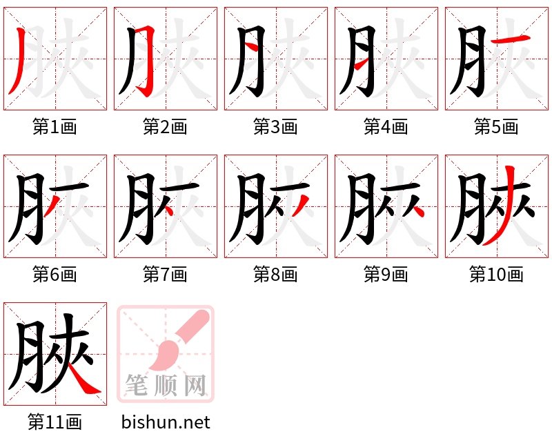 脥 笔顺规范