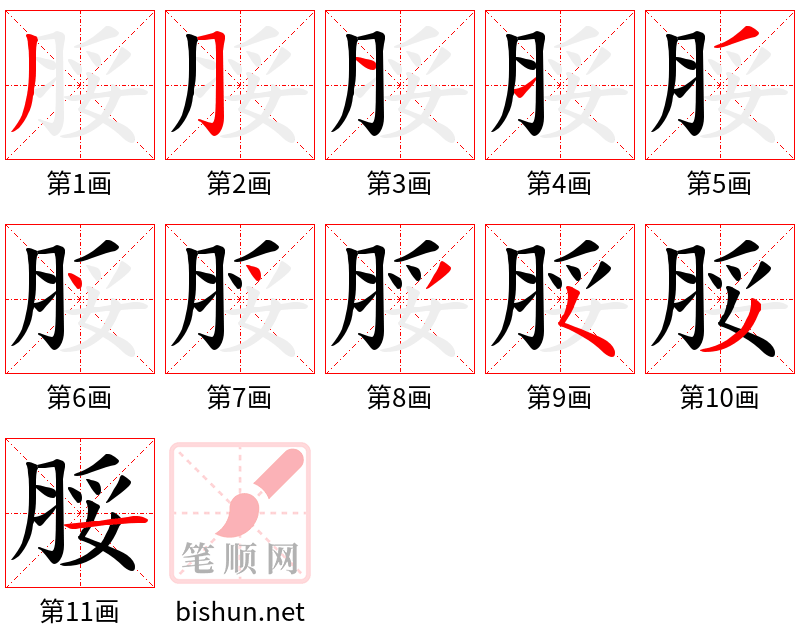 脮 笔顺规范