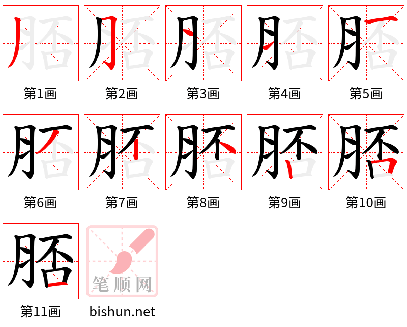 脴 笔顺规范