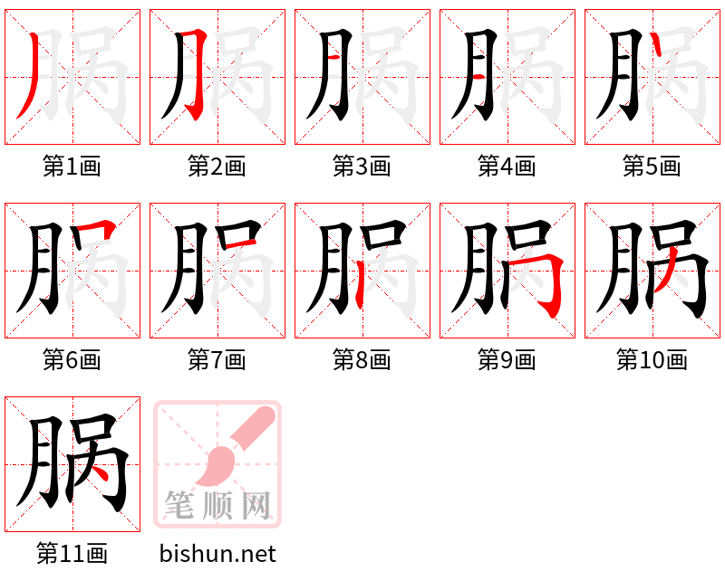 脶 笔顺规范