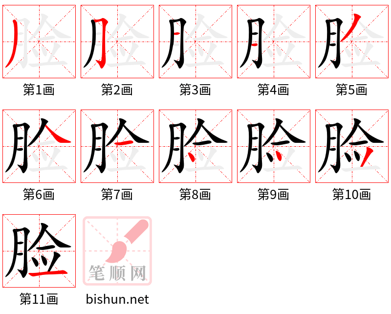 脸 笔顺规范