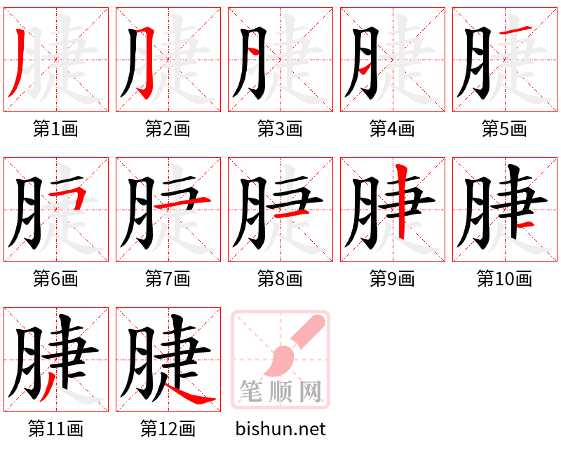 脻 笔顺规范