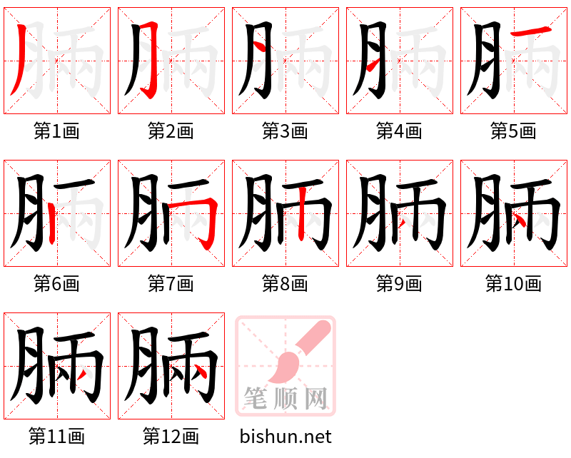 脼 笔顺规范