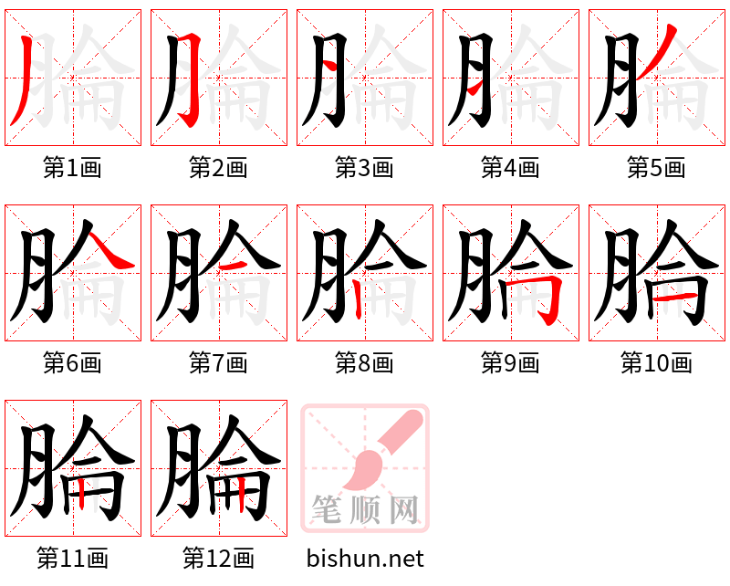 腀 笔顺规范