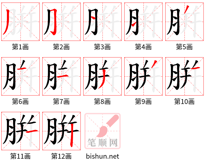 腁 笔顺规范