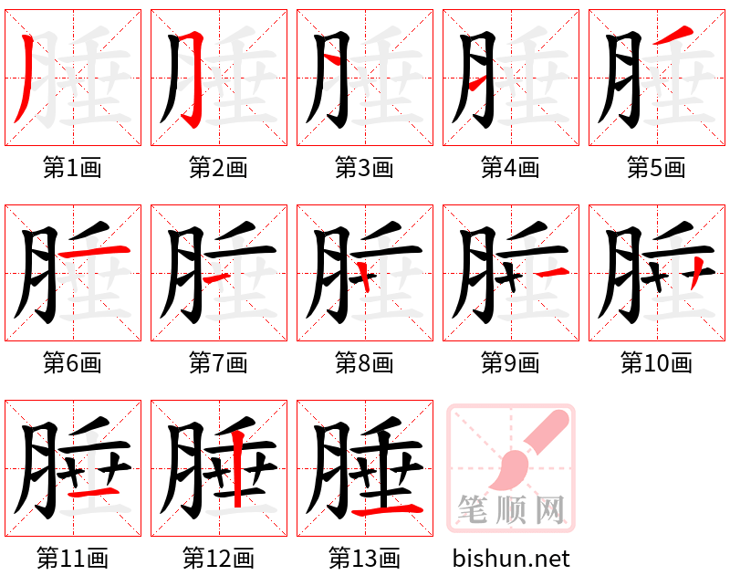 腄 笔顺规范