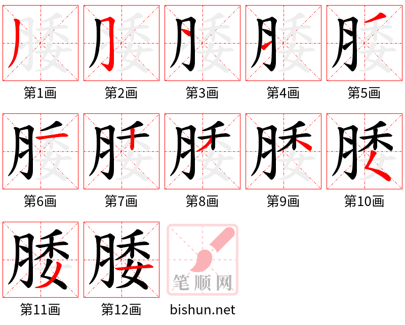 腇 笔顺规范