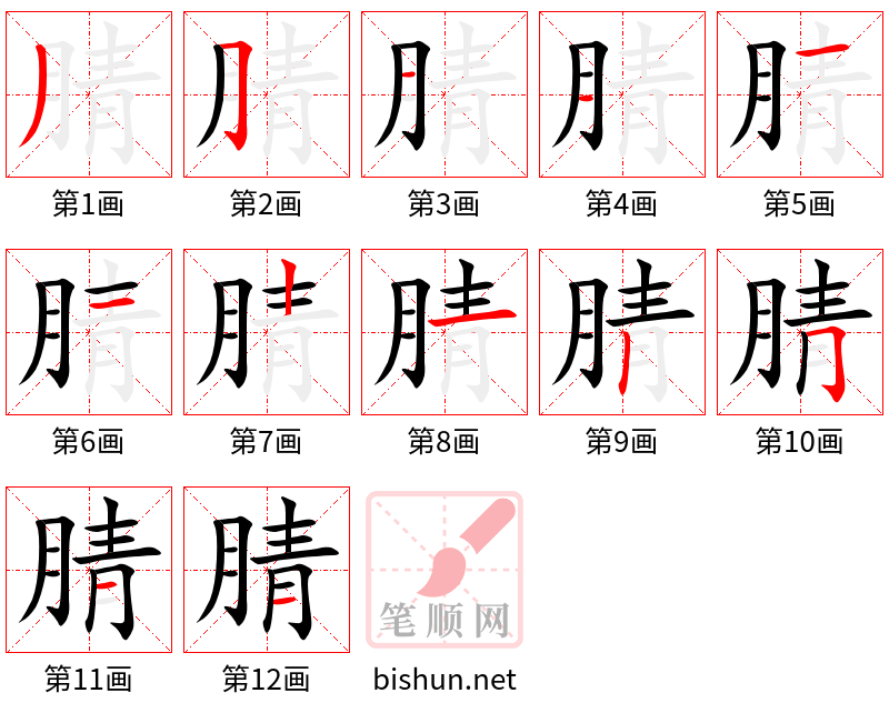 腈 笔顺规范