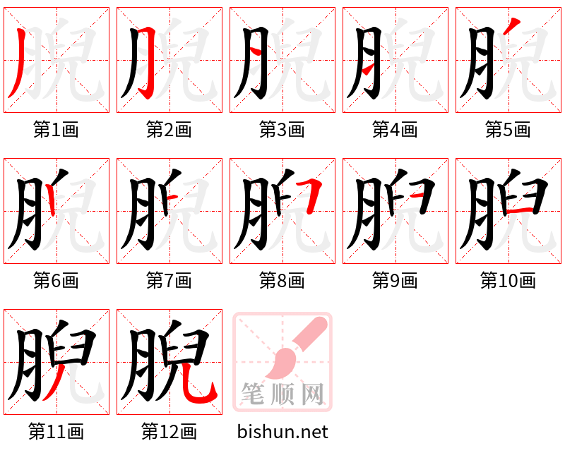 腉 笔顺规范