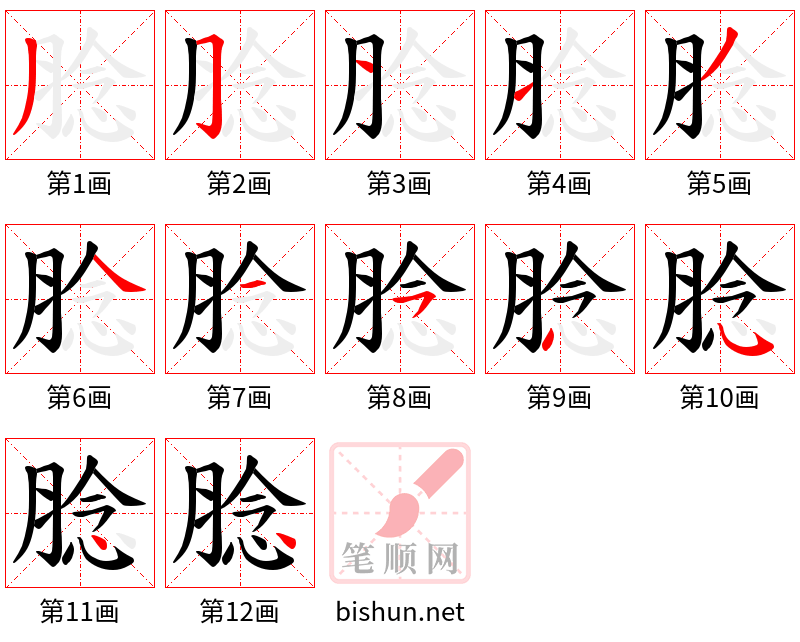 腍 笔顺规范