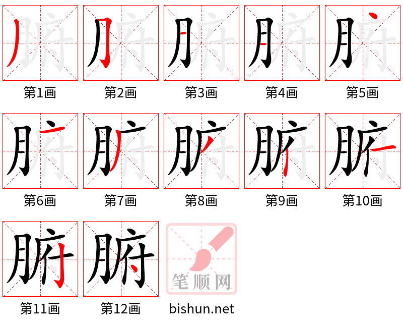 腑 笔顺规范