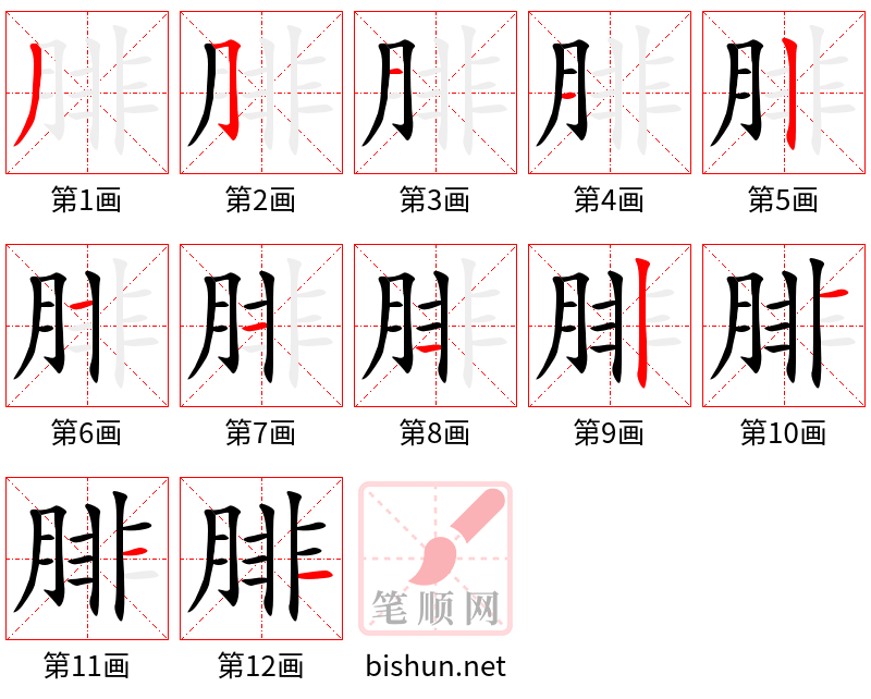 腓 笔顺规范