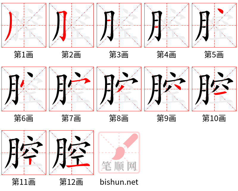 腔 笔顺规范