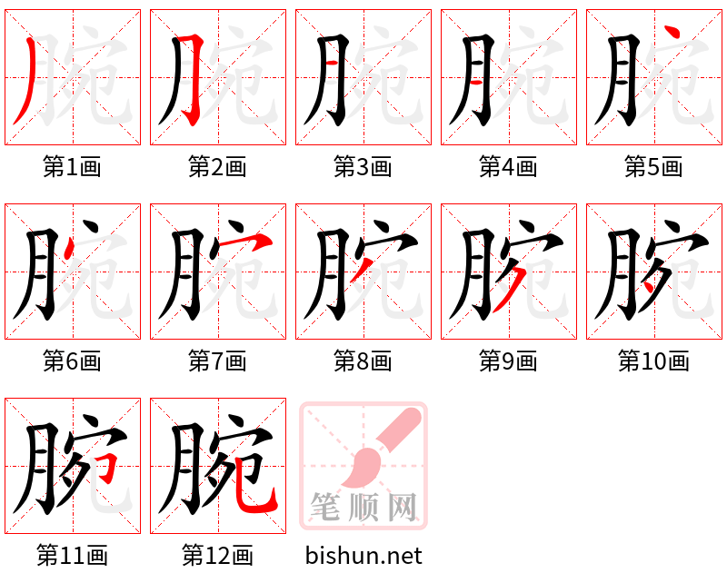 腕 笔顺规范