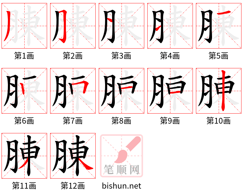 腖 笔顺规范