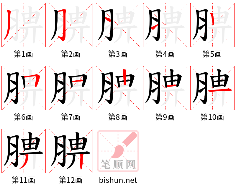 腗 笔顺规范