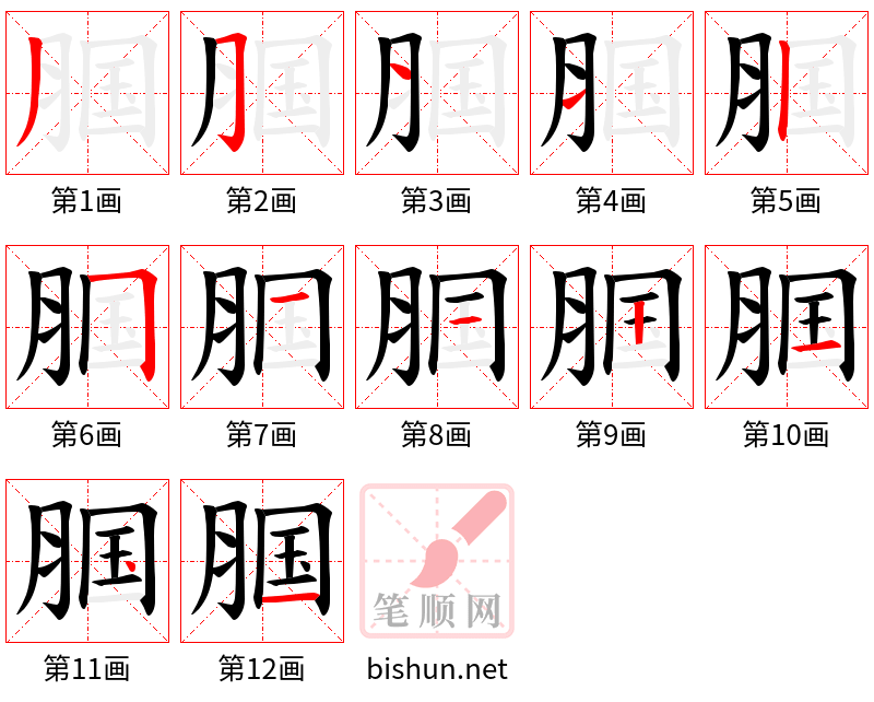 腘 笔顺规范