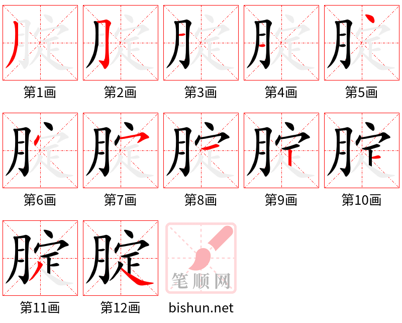 腚 笔顺规范