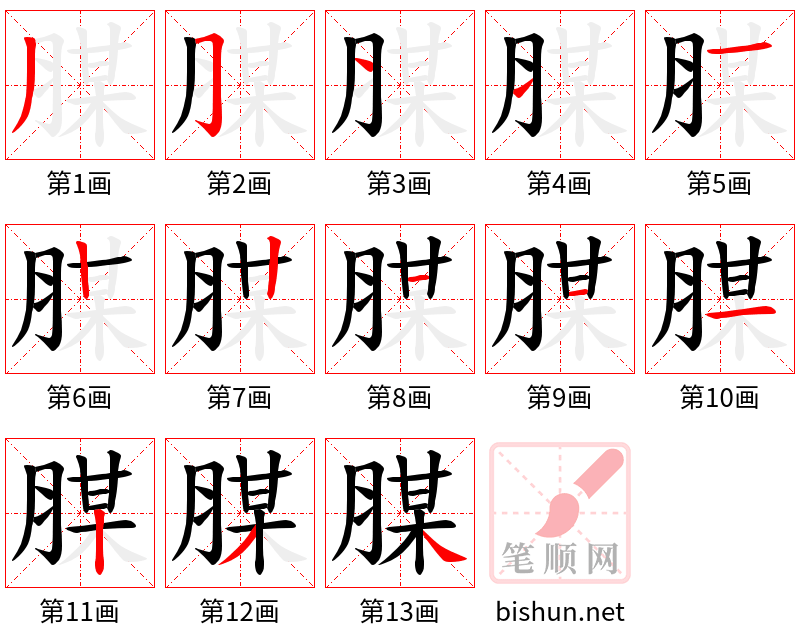 腜 笔顺规范