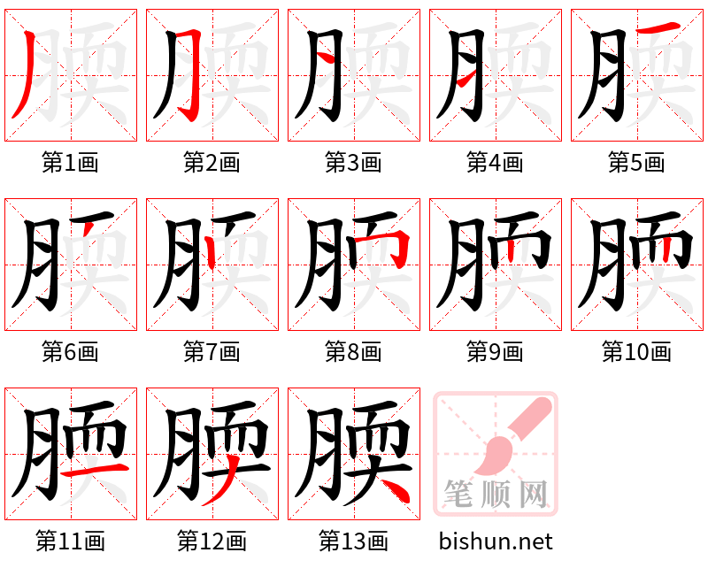 腝 笔顺规范