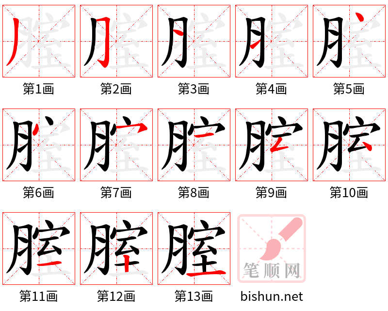 腟 笔顺规范