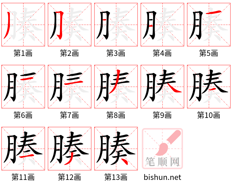 腠 笔顺规范