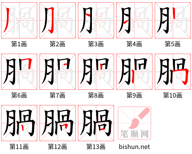 腡 笔顺规范