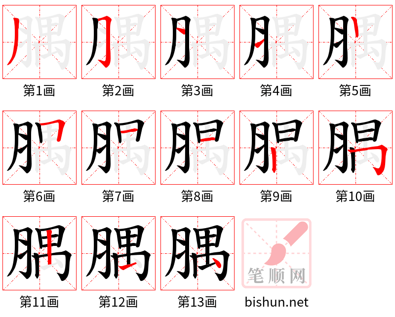 腢 笔顺规范