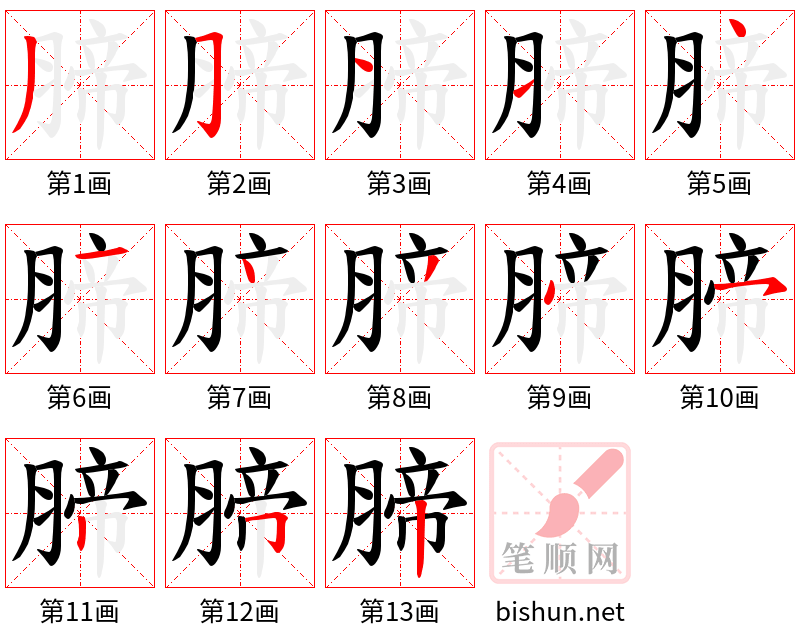 腣 笔顺规范