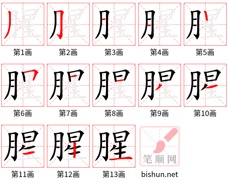 腥 笔顺规范