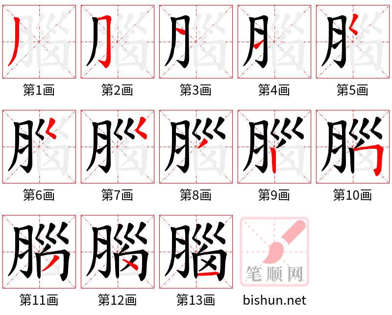 腦 笔顺规范