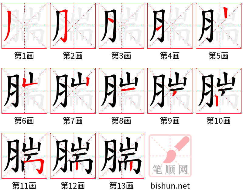 腨 笔顺规范