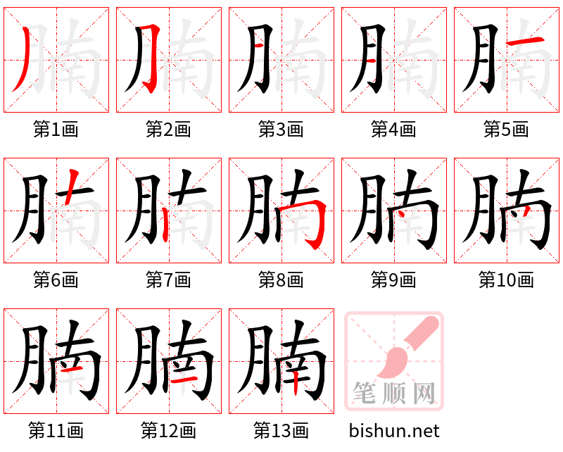 腩 笔顺规范