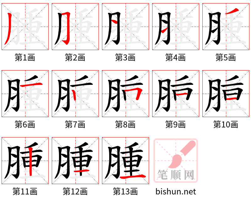 腫 笔顺规范