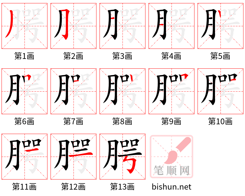 腭 笔顺规范