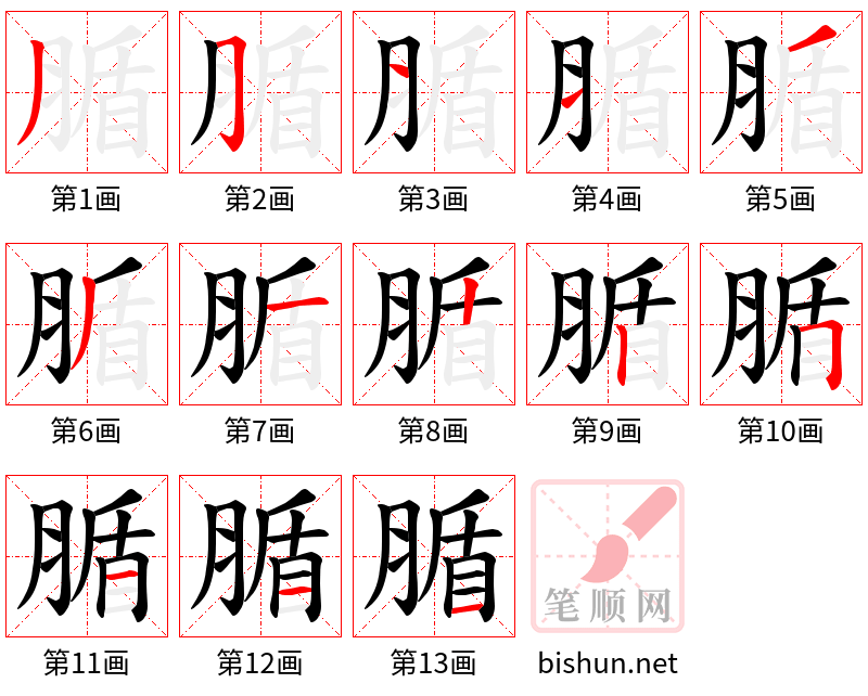 腯 笔顺规范