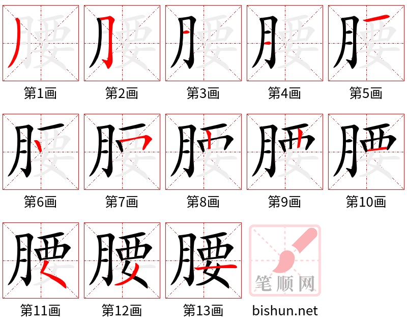 腰 笔顺规范